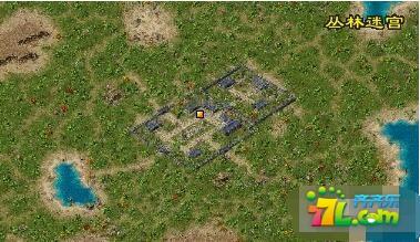 ���紫���������