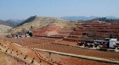 �¿�������վ1.85����